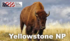 Travel to Yellowstone National Park in Wyoming
