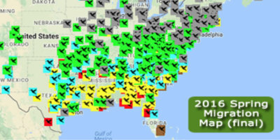 2016 hummingbird spring migration - 2016 Final Hummingbird Migration Map 