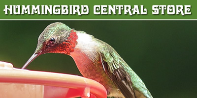 hummingbird feeder supplies