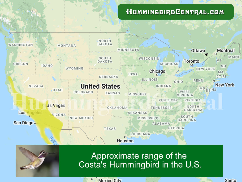 Map showing the approximate range of the Costa's Hummingbird in the United States