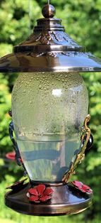 Hummingbird Feeders Glass Feeders Plastic Hummer Feeders And How