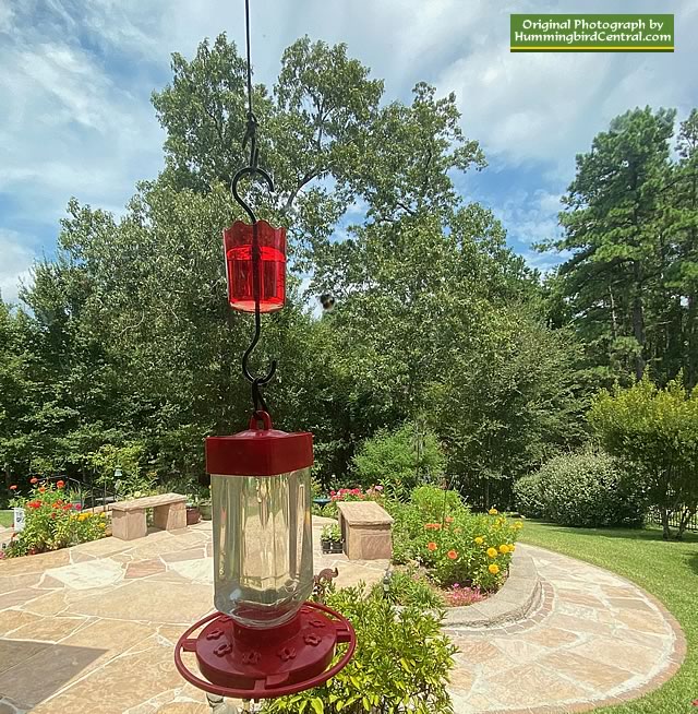 First Nature 5055 32-oz hummingbird feeder, with an OrienTools ant moat above it