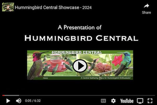 Click to view the Hummingbird Central Showcase 2024 ... a video at YouTube