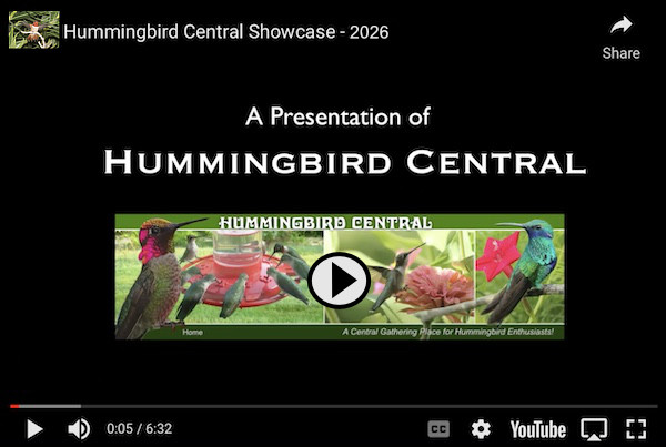 Click to view the Hummingbird Central Showcase 2026 ... a video at YouTube