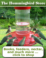 Visit the Hummingbird Store for feeders, books, videos, nectar and more