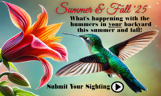 What's happening with the hummingbirds in your backyard this summer and fall ... submit your sighting!