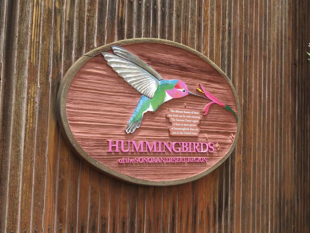 Hummingbird Aviary at the Arizona-Sonora Desert Museum in Tucson, Arizona