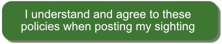 I understand and agree to the policies about reporting a hummingbird sighting