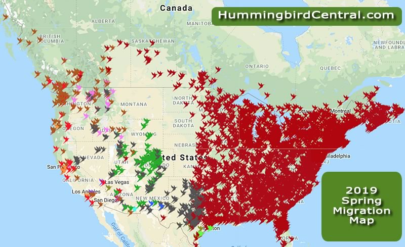 2019 hummingbird Migration Map ... click map to view more details