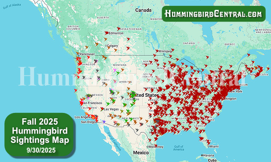 2025 Map of Fall Hummingbird Sightings ... click to view the map!