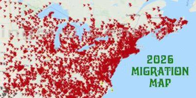 2026 hummingbird spring migration map, 2026 hummingbird sightings ...