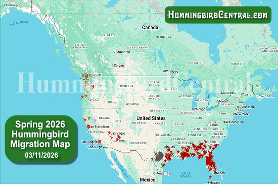 Spring 2026 Hummingbird Migration Map - click for interactive map of sightings