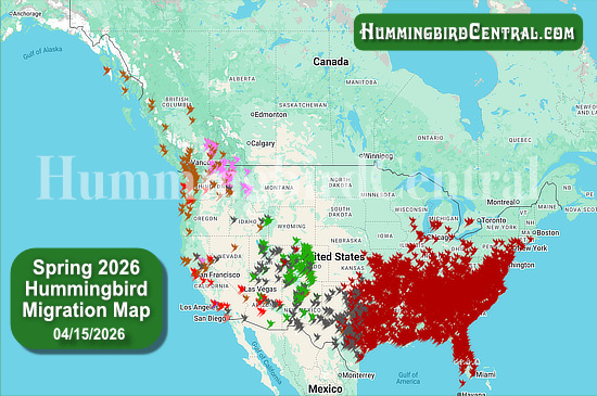 Spring 2026 Hummingbird Migration Map - click for interactive map of sightings