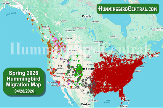 Spring 2026 Hummingbird Migration Map - click for interactive map of sightings