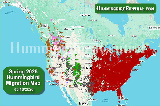 Spring 2026 Hummingbird Migration Map - click for interactive map of sightings