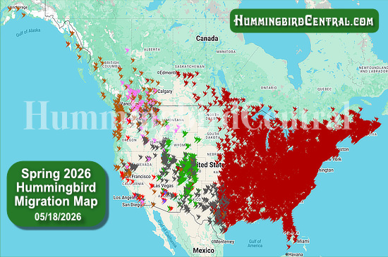 Spring 2026 Hummingbird Migration Map - click for interactive map of sightings