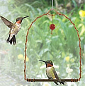 Hummingbird copper swing ... at Amazon
