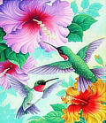Hummingbird outdoor hanging flag with colorful hibiscus flowers, double sided, 28x40 inches ... at Amazon