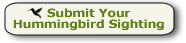 Click to submit your hummingbird sighting