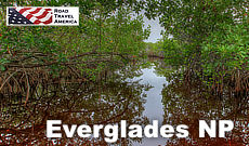Travel to Everglades National Park in southern Florida