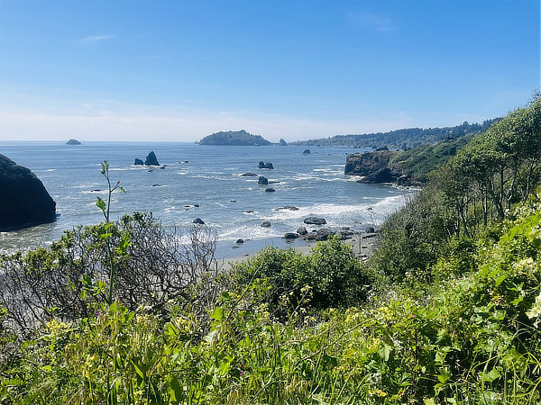 Trinidad Beach ... lush and rugged
