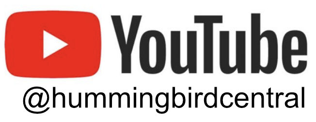 Visit the Hummingbird Central channel on YouTube